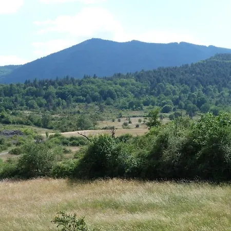 Gite Des Amandiers T3 Alpes De Haute Provence Holiday home